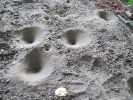 Доказательства того, что нет ничего страшнее природы