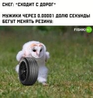 До мая менять не буду. Денег нет.