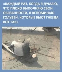 Плохо что ли? Хорошо! Суровые мужские берлоги