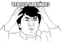 Японец, который стал собакой, теперь проходит курсы дрессировки и готовится к соревнованиям среди псов