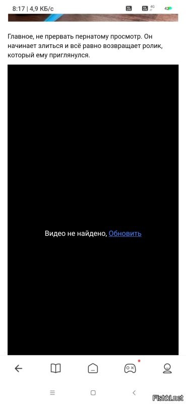 Попугая научили листать ленту YouTube и выбирать видео