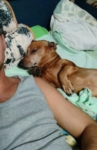 Да, таксы такие )))) Это как- Где спит ваша такса? -Там же, где и ваша. ))))