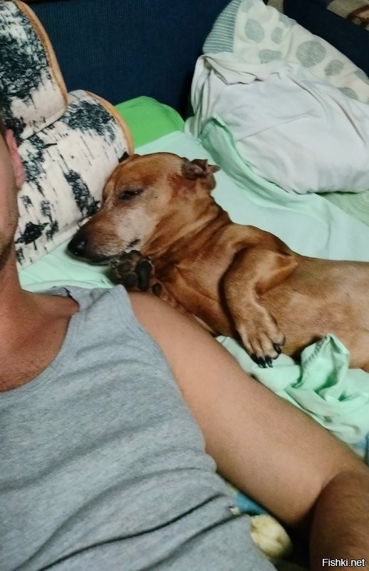 Да, таксы такие )))) Это как- Где спит ваша такса? -Там же, где и ваша. ))))