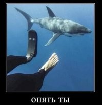 Намешалось
