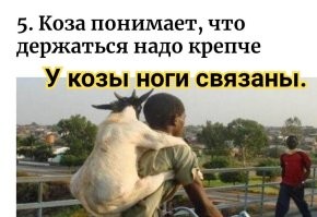20 удивительных случаев, которые попались людям на дороге
