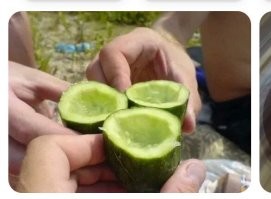 Всё вразнобой&nbsp;