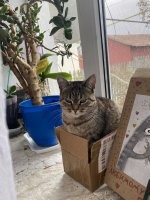 Мой цветок