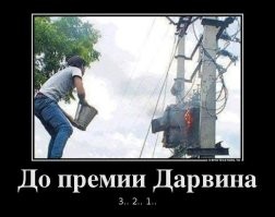 5 высокообразованных мужчин, которые из-за глупости умерли так нелепо, что выиграли Премию Дарвина