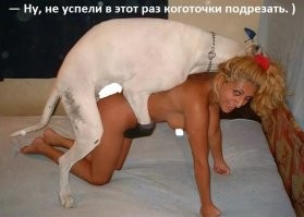 30 гигантских собак, чьи размеры поражают