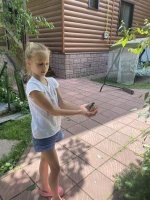 Не трогайте «выпавшего» птенца, если нашли его весной на земле