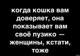 Так же кошки и женщины: