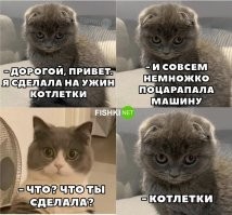 Не ищите здесь смысл. Здесь в основном маразм