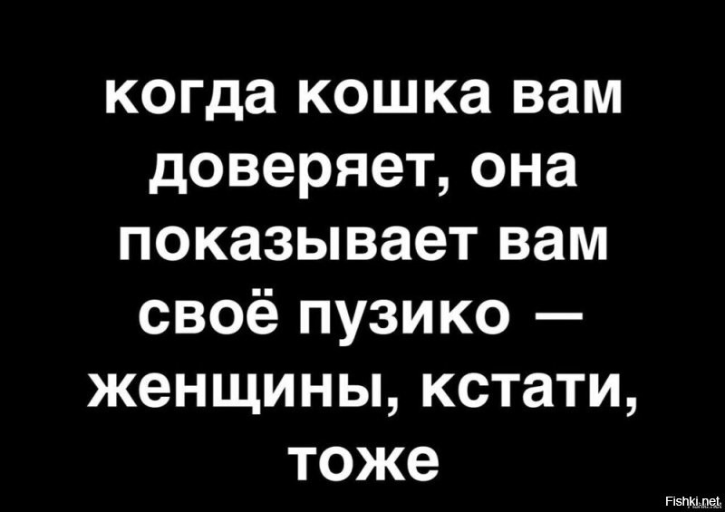 Так же кошки и женщины: