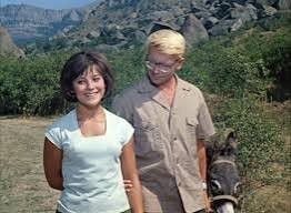 Нет,это он,осёл.