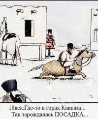 Корги-конь. (Кобыла, в данном случае.)