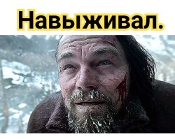 Продолжаем барражировать соцсети