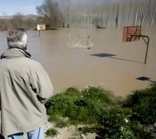 Намешалось