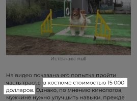 15 тысяч долларов?