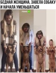 30 гигантских собак, чьи размеры поражают