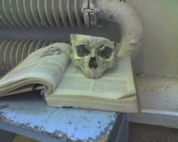Да у нас любой студент-медик прошел через музей на своей кафедре анатомии/патанатомии. При этом работал с настоящими препаратами. В тех же штатах учат на муляжах, а музей только показывают. Вот вам фото из личного архива, когда я на первом курсе учился. Череп настоящий.
