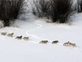 Мемы из соцсетей. Свежак за 12 марта