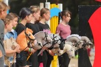 Скандинавские скачки


Скандинавская хотьба


Скандинавская езда