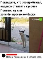 .... без объявления