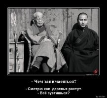 Несколько примеров суровой борьбы природы с цивилизацией