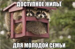 На центральной площади Владивостока появились избушки