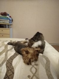 Хорошие фотографии, добрые!