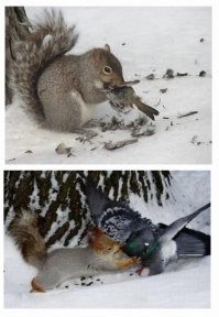 все не без греха