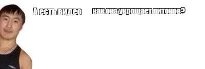 Самая сексуальная учёная в мире плавает с акулами и охотится на питонов