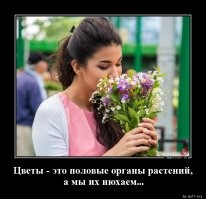 "Шесть миллиардов долларов утекли в Голландию!": депутат Госдумы возмутился мужчинами, купившими на 8 марта иноземные цветы