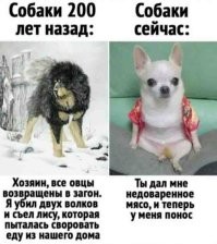 Скрины из соцсетей&nbsp;