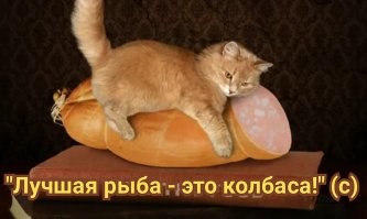Продолжаем барражировать соцсети