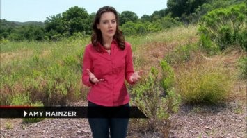 Да ну её. Какая нафиг САМАЯ...
Астрофизик - Amy Mainzer
Всегда нравились передачи на канале тайны Галактики, про вселенную, Большой взрыв... Но как увидел её как то ведущей... Сразу фанатом стал... Астрофизики...

Я бы с ней как нить посидел за телескопом длинными ночами