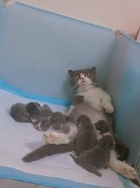 Молодая и счастливая мать