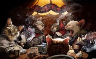 Территория котоазарта и правдивых предсказаний