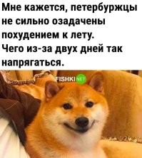 Тем более хер угадаешь, когда они в этом году