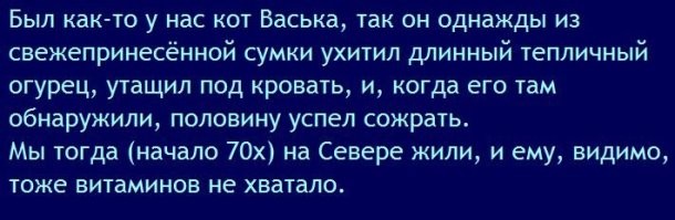 Бздливые какие-то коты пошли.
Уже рассказывал тут эту историю, но повторюсь.