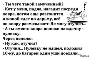 Кот неприятно удивил хозяина