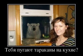 Не ищите здесь смысл. Здесь в основном маразм