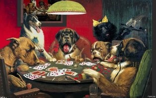 раз пошла такая пьянка, то пусть ts скажет, кто из собакенов выиграл? :)