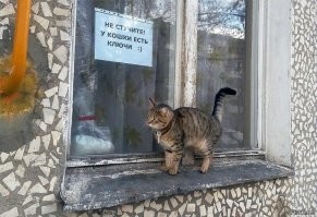 Не ищите здесь смысл. Здесь в основном маразм