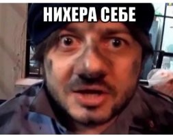 Знакомьтесь, птица Бородач!