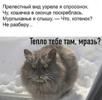 Не ищите здесь смысл. Здесь в основном маразм
