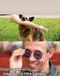 Не ищите здесь смысл. Здесь в основном маразм