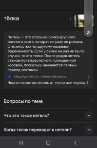Да, это по научному. Если вы не слышали, то не значит, что это не так. А у меня опыт работы 10 лет в сх плюс получаю вышку на зооинженера. Первое фото - учебник "Биологические основы продуктивности" Туникова. Если вы почитаете текст, то увидите, что телят назыают бычок и телочка.