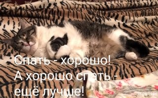 Фотоподборка