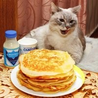 у нас свои марафоны начались)